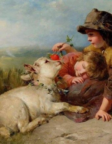 Children's Cow Animal Paint By Numbers