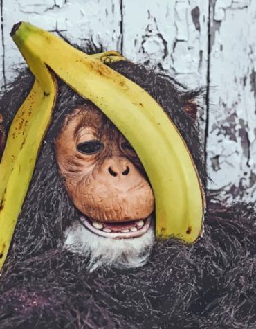 Monkey with Banana Paint By Numbers