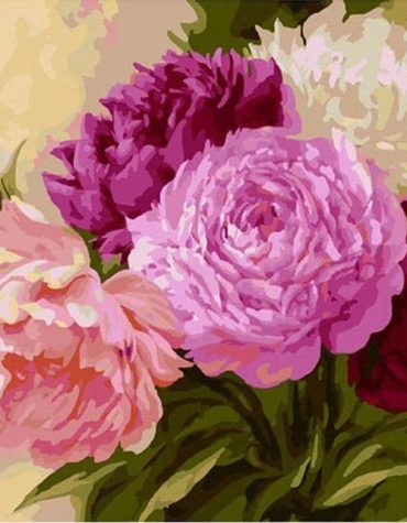 Pink Roses Chinese Paint By Numbers