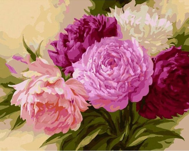 Pink Roses Chinese Paint By Numbers