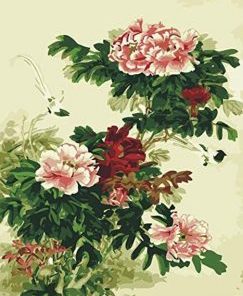 Peony Flower Art Paint By Numbers