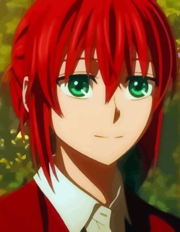 Chise Hatori Anime Art Paint By Numbers