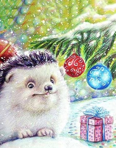 Festive Hedgehog Animals Paint By Numbers