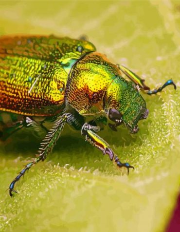 Christmas Beetle on Leaves Paint By Numbers