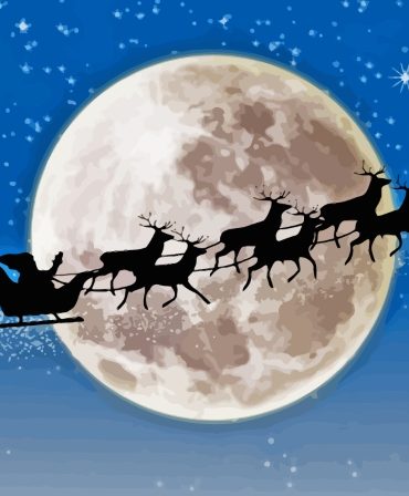 Moonlit Christmas Deer Paint By Numbers