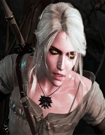 The Witcher Cirilla Animated Series Paint By Numbers