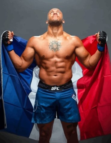 Ciryl Gane With French Flag Paint By Numbers