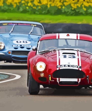Classic Cobra Engines Paint By Numbers