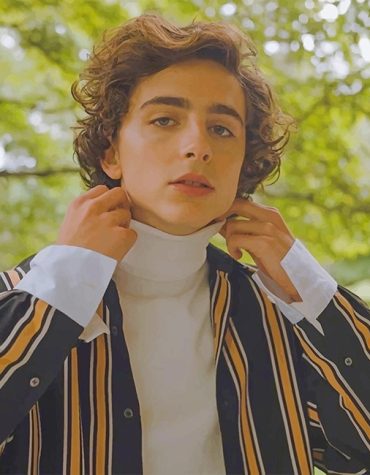 Timothee Chalamet Fashion Paint By Numbers