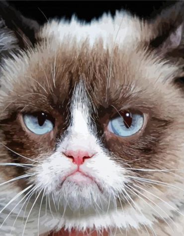 Grumpy Cat Close-Up Paint By Numbers