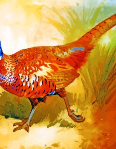 Majestic Pheasant Birds Paint By Numbers