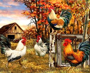 Farmyard Cocks Paint By Numbers