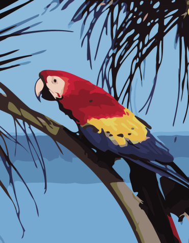 Coconut Tree and Parrot Seascape Paint By Numbers