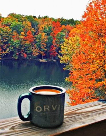 Autumn Coffee Leaves Paint By Numbers