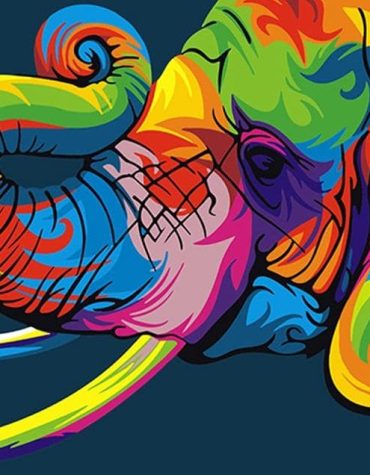 Rainbow Elephant Paint By Numbers