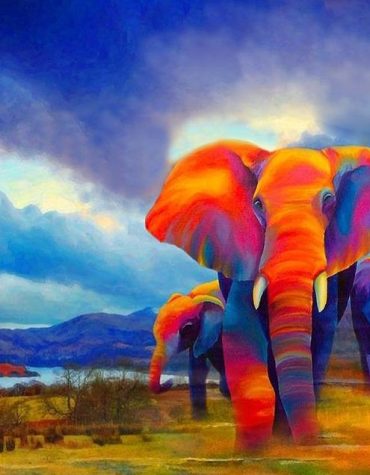 Colorful Elephant Artistry Paint By Numbers