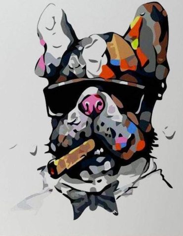 Colorful Boss Dog Paint By Numbers