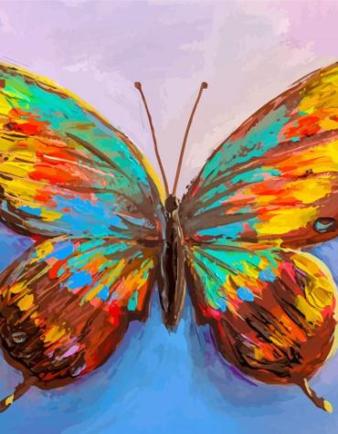 Colorful Butterfly Insects Paint By Numbers