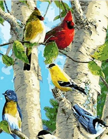Red Cardinals Bird Paint By Numbers