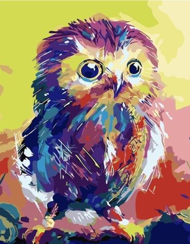 Rainbow Owl Paint By Numbers