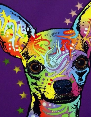 Colorful Chihuahua Dog Paint By Numbers