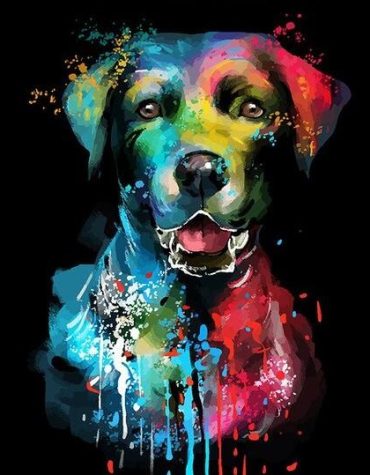 Colorful Dogs Paint By Numbers