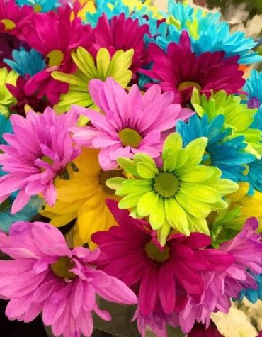 Colorful Daisies Flowers Paint By Numbers