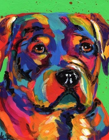 Colorful Boxer Dog Paint By Numbers