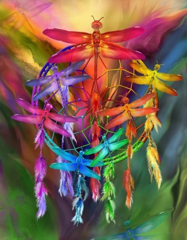 Colorful Dragonflies Dreamcatcher Paint By Numbers