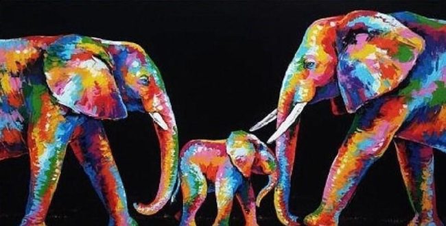 Rainbow Elephant Family Paint By Numbers