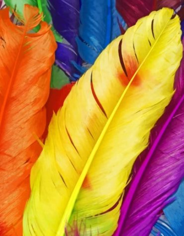 Peacock Feather Paint By Numbers