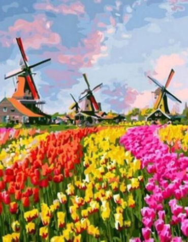 Colorful Landscapes Sky Paint By Numbers