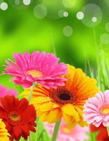 Gerbera Daisies Pink Flower Paint By Numbers