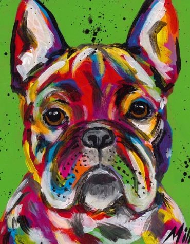 Colorful Dog Picture Paint By Numbers