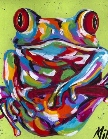 Colorful Frog Animals Paint By Numbers