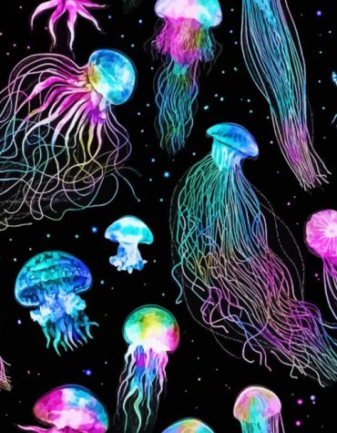 Galaxy Jellyfish Creation Paint By Numbers