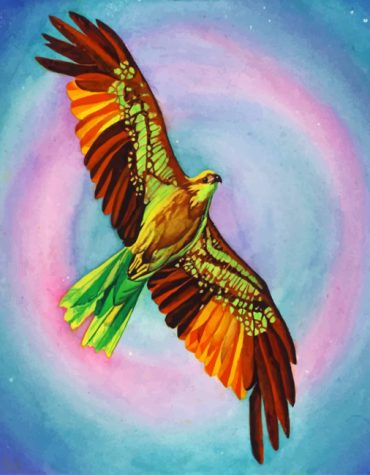 Colorful Flying Hawk Paint By Numbers