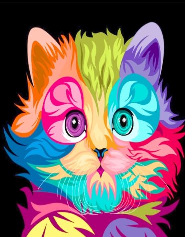 Colorful Cat Paint By Numbers