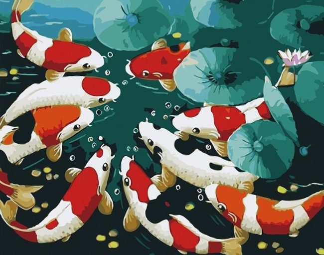 Asian Koi Fish Paint By Numbers