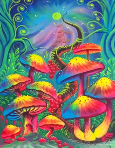 Bright Mushroom Paint By Numbers