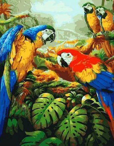 Colorful Parrots Birds Paint By Numbers