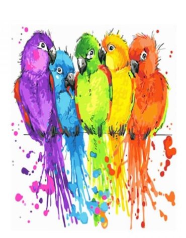 Colorful Parrots Art Paint By Numbers