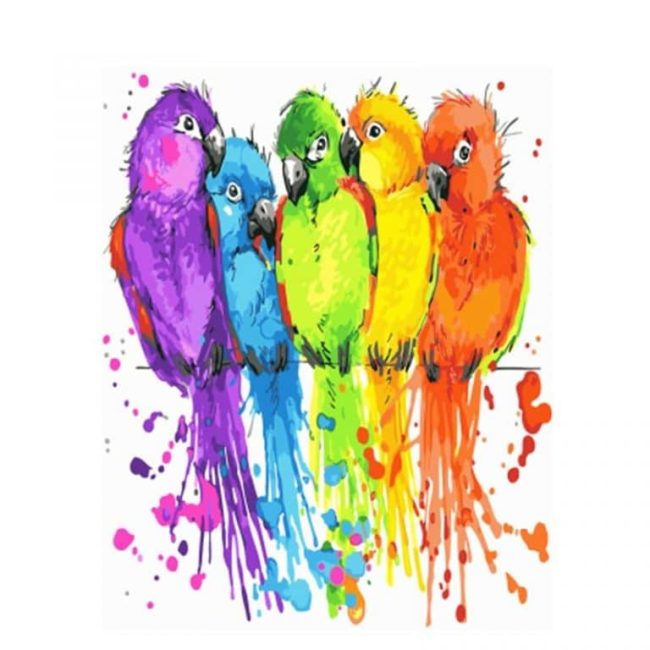 Colorful Parrots Art Paint By Numbers