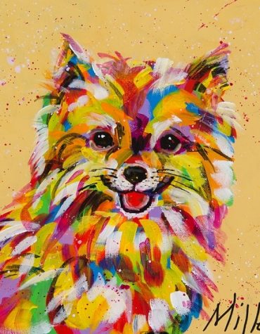 Bright Pomeranian Dog Paint By Numbers