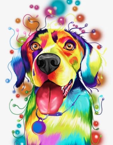 Colorful Retriever Dog Painting Paint By Numbers