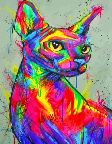 Colorful Cat Sphinx Paint By Numbers