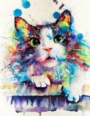 Rainbow Cat Paint By Numbers
