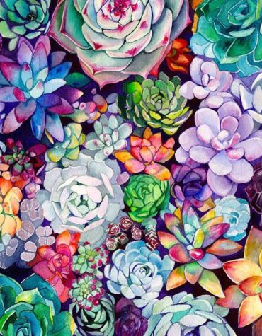 Colorful Succulent Paint By Numbers