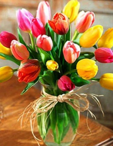 Colorful Tulip Garden Paint By Numbers