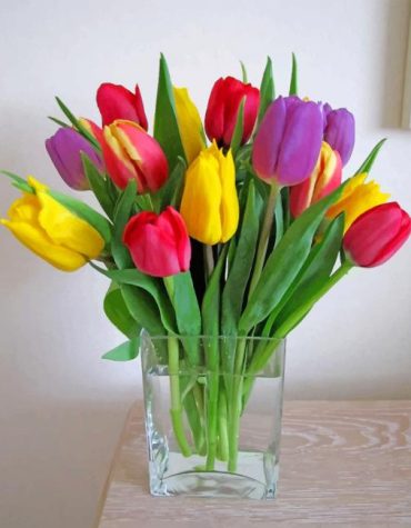 Colorful Flowerpot Tulips Paint By Numbers